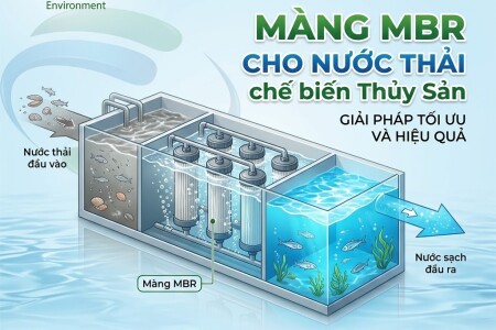 Màng MBR Cho Nước Thải Thủy Sản