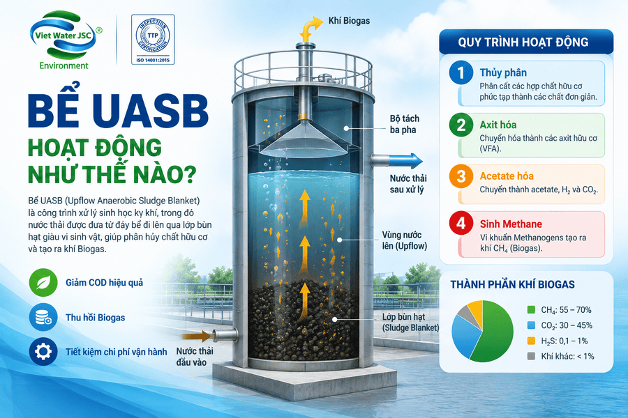 be-uasb-hoat-dong-nhu-the-nao