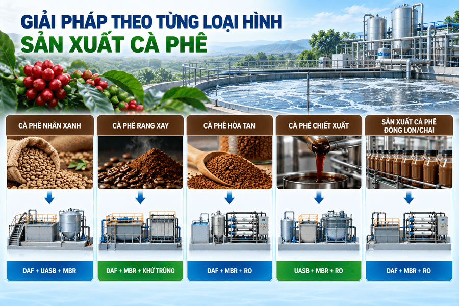 Giải pháp theo từng loại hình sản xuất cà phê