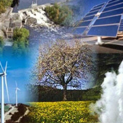 Việt Nam: Chính phủ hướng đến nguồn năng lượng tái tạo