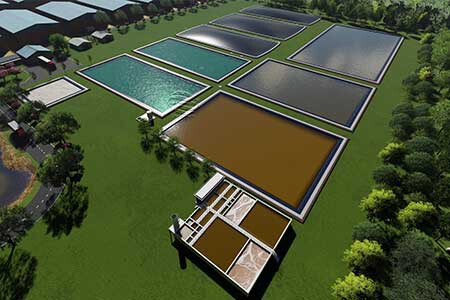 Dự án Hệ thống xử lý nước thải chăn nuôi heo - Trang trại chăn nuôi 48.000 heo
