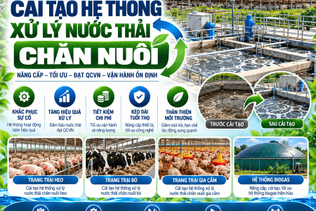 Renovation of Livestock Wastewater Treatment Systems