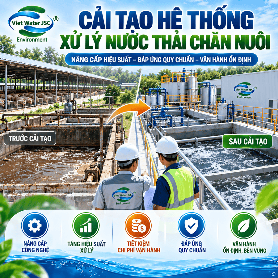 cai-tao-nang-cap-xu-ly-nuoc-thai-chan-nuoi