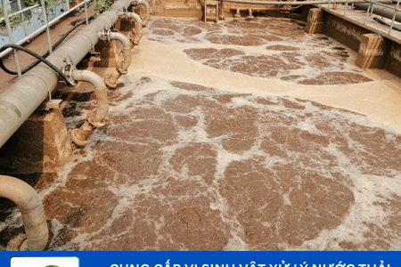 Cung cấp vi sinh vật xử lý nước thải – Giải pháp sinh học an toàn và hiệu quả