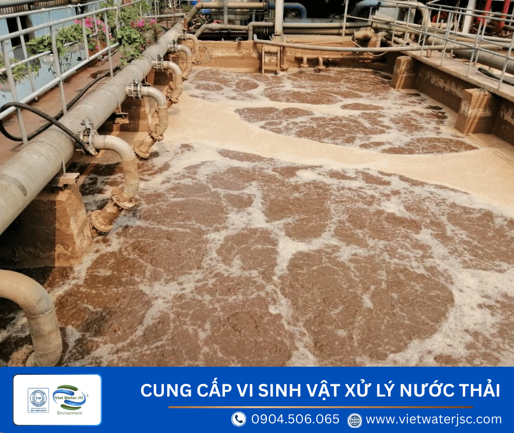 cung-cap-vi-sinh-vat-xu-ly-nuoc-thai2