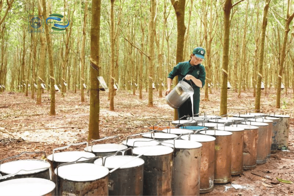 Dịch vụ xử lý nước thải nhà máy chế biến  Cao Su 3