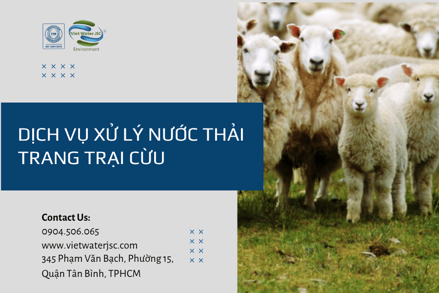 Dịch vụ xử lý nước thải trang trại cừu-1
