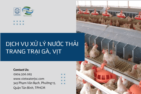 Dịch vụ xử lý nước thải trang trại gà