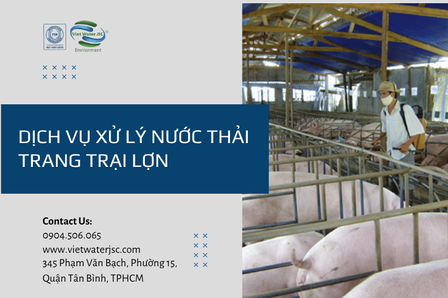Dịch vụ xử lý nước thải trang trại lợn 1
