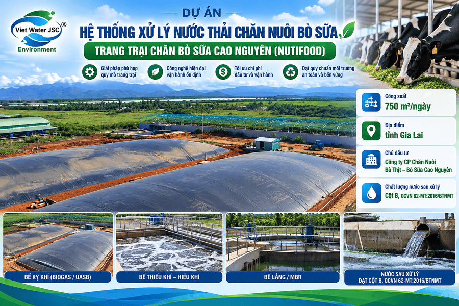 du-an-he-thong-xu-ly-nuoc-thai-chan-nuoi-bo-sua-trang-trai-chan-bo-sua-cao-nguyen-nutifood