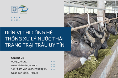 Dịch vụ xử lý nước thải trang trại trâu, tối ưu chi phí vận hành