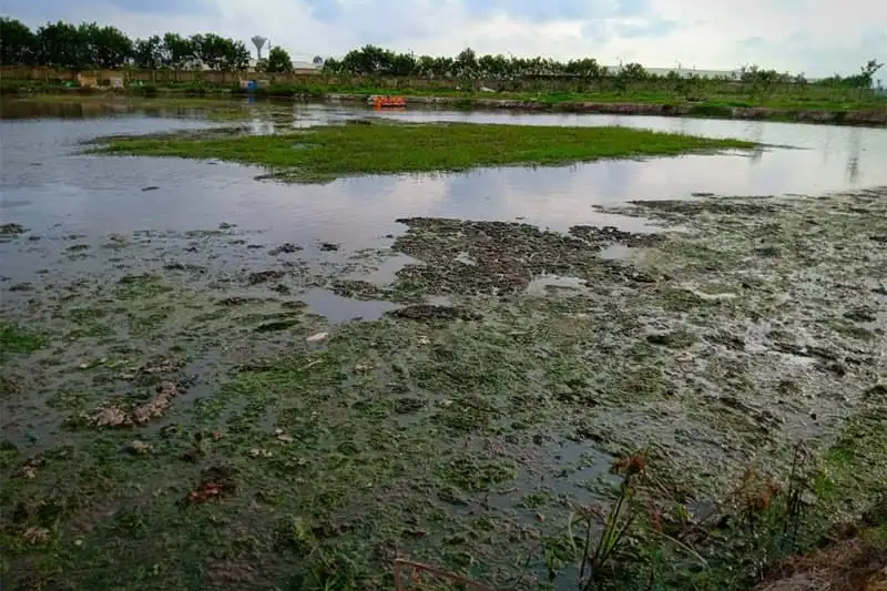 nuoc-thai-ao-nuoi-thuy-san1