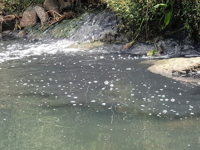 nước thải chăn nuôi