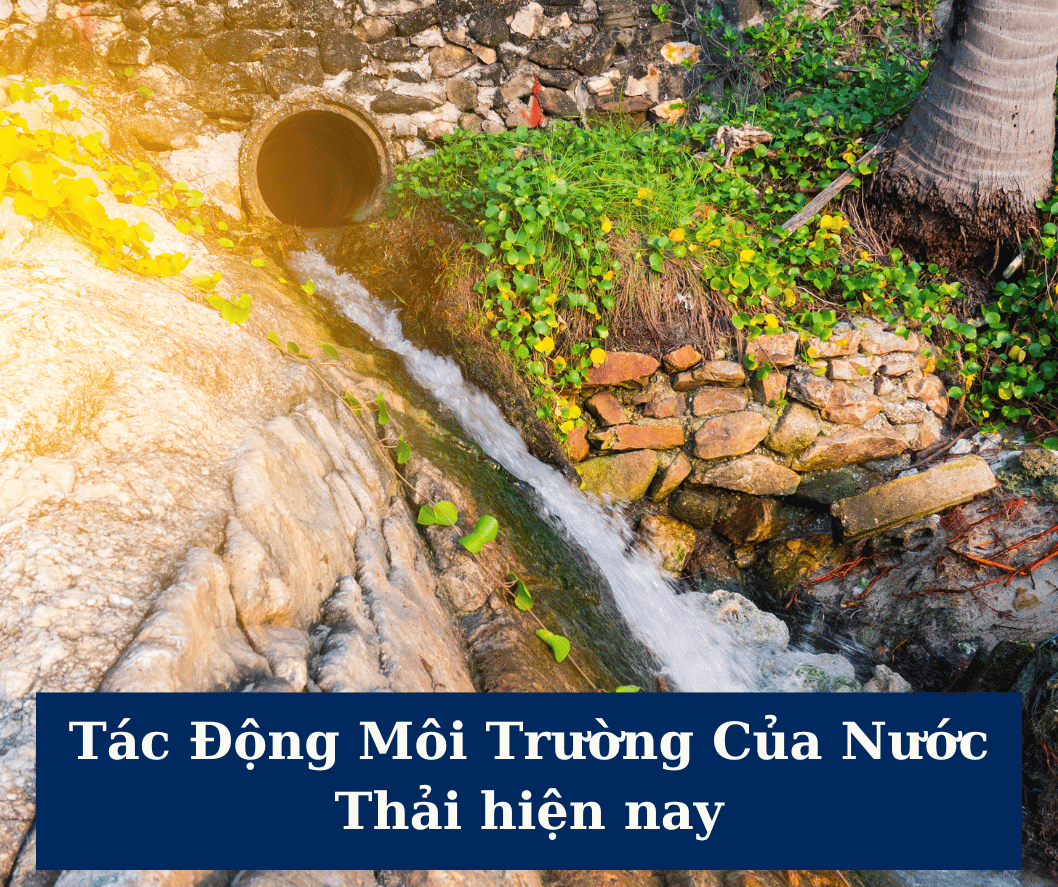 tac dong nuoc thai nha may den moi truong