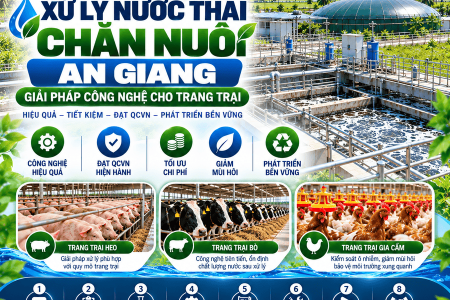 Xử Lý Nước Thải Chăn Nuôi An Giang
