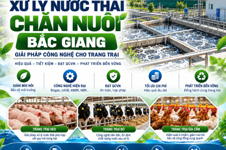 Xử Lý Nước Thải Chăn Nuôi Bắc Giang
