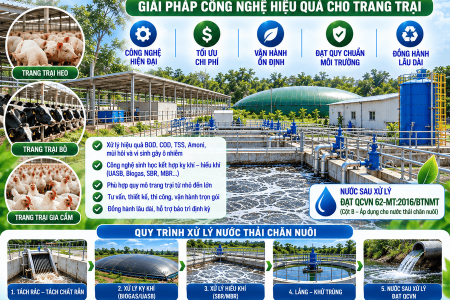 Xử Lý Nước Thải Chăn Nuôi Bình Dương