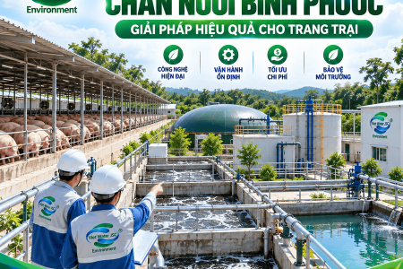 Xử Lý Nước Thải Chăn Nuôi Bình Phước