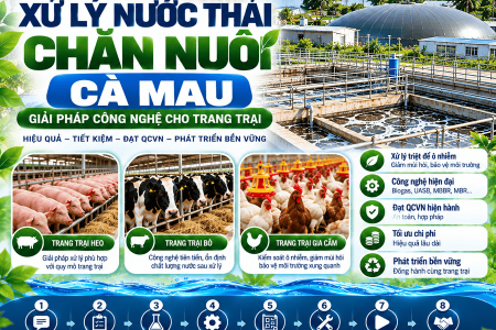 Xử Lý Nước Thải Chăn Nuôi Cà Mau