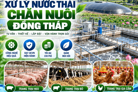 Xử Lý Nước Thải Chăn Nuôi Đồng Tháp