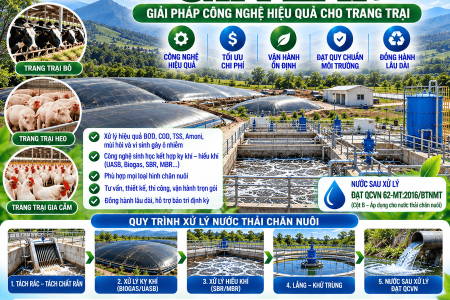 Xử Lý Nước Thải Chăn Nuôi Gia Lai