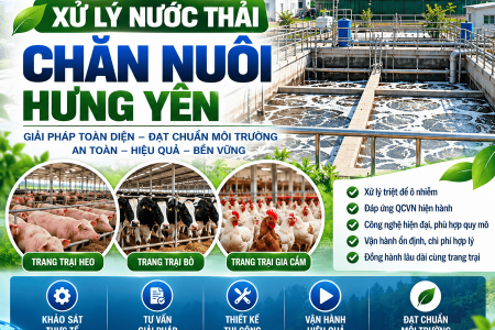 Xử Lý Nước Thải Chăn Nuôi Hưng Yên
