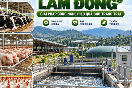 Xử Lý Nước Thải Chăn Nuôi Lâm Đồng