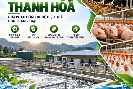 Xử lý nước thải chăn nuôi tại Thanh Hóa