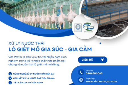 Xử lý nước thải lò giết mổ