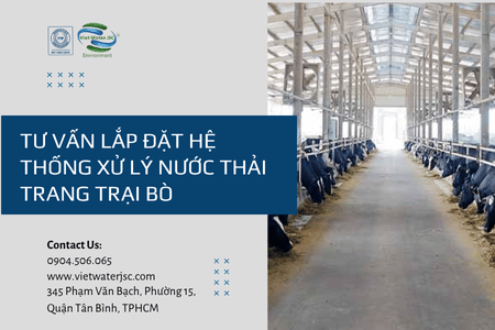 Tư vấn lắp đặt Hệ thống xử lý nước thải trang trại bò, tối ưu chi phí vận hành