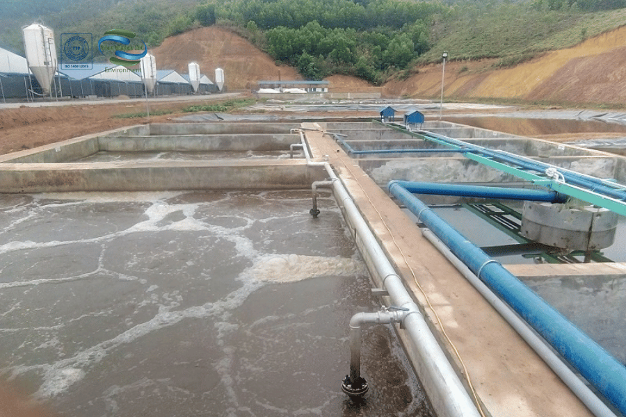 xử lý nước thải trang trại gà 4