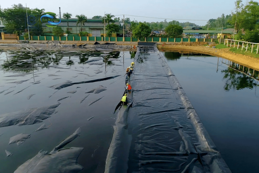 xử lý nước thải trang trại gà 5